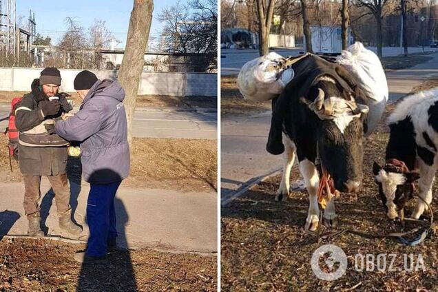 Українець вибрався із зруйнованого окупантами Ірпеня із двома коровами та добрався до Коростишева. Фото