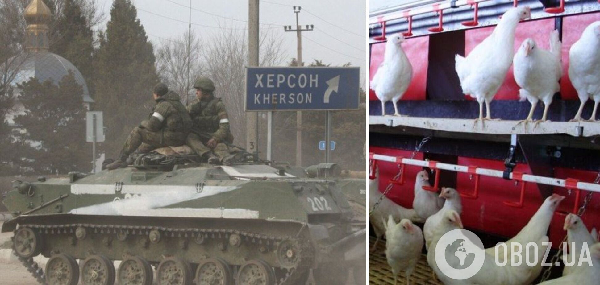 Из-за российских оккупантов Херсонщина оказалась под угрозой экологической катастрофы