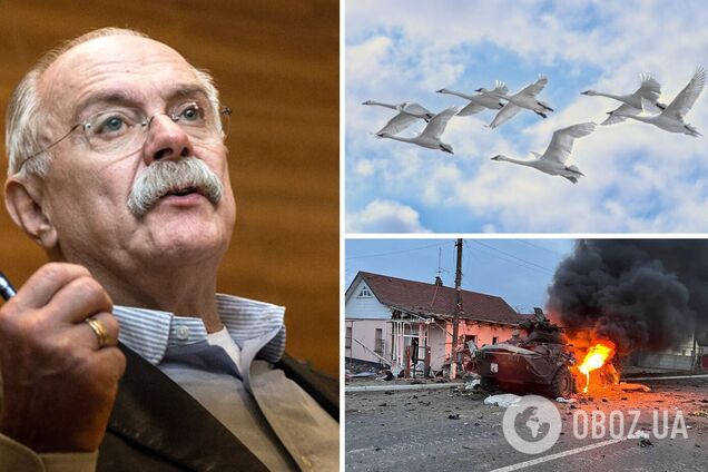 Михалков утверждает, что в Украине тестируют биологическое оружие на птичках