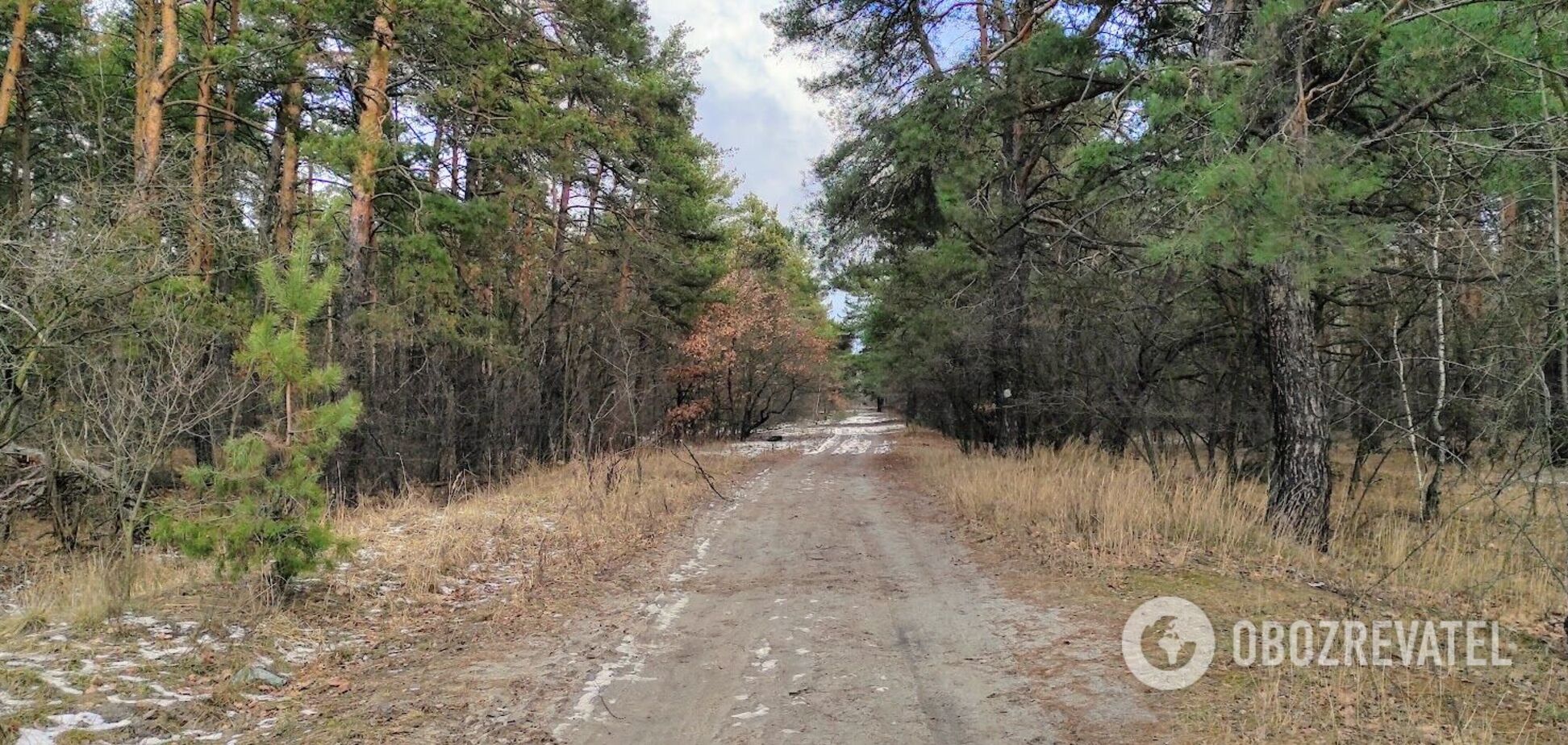 Жителям заборонили відвідувати ліси на Київщині