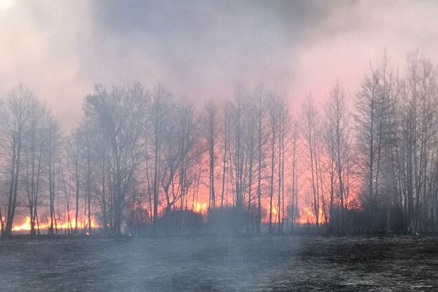 Полтавских поджигателей сухостоя отправили копать траншеи