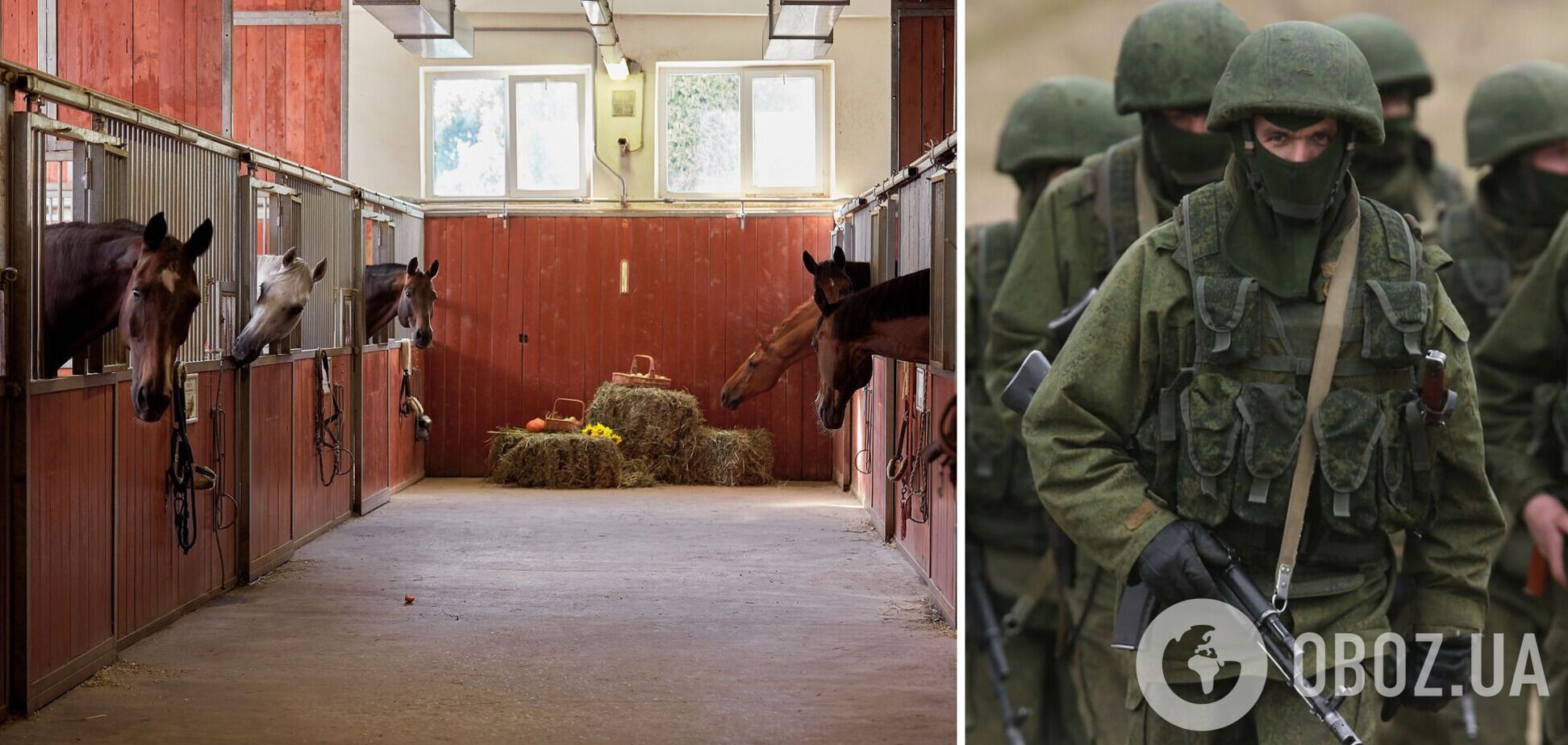 На Киевщине российские оккупанты сожгли конюшню вместе с животными