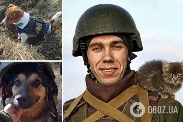 Военные заводят домашних питомцев