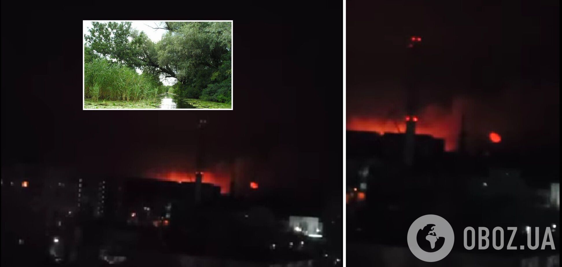 Біля Херсона почалася лісова пожежа, полум'я підбирається до міста. Відео