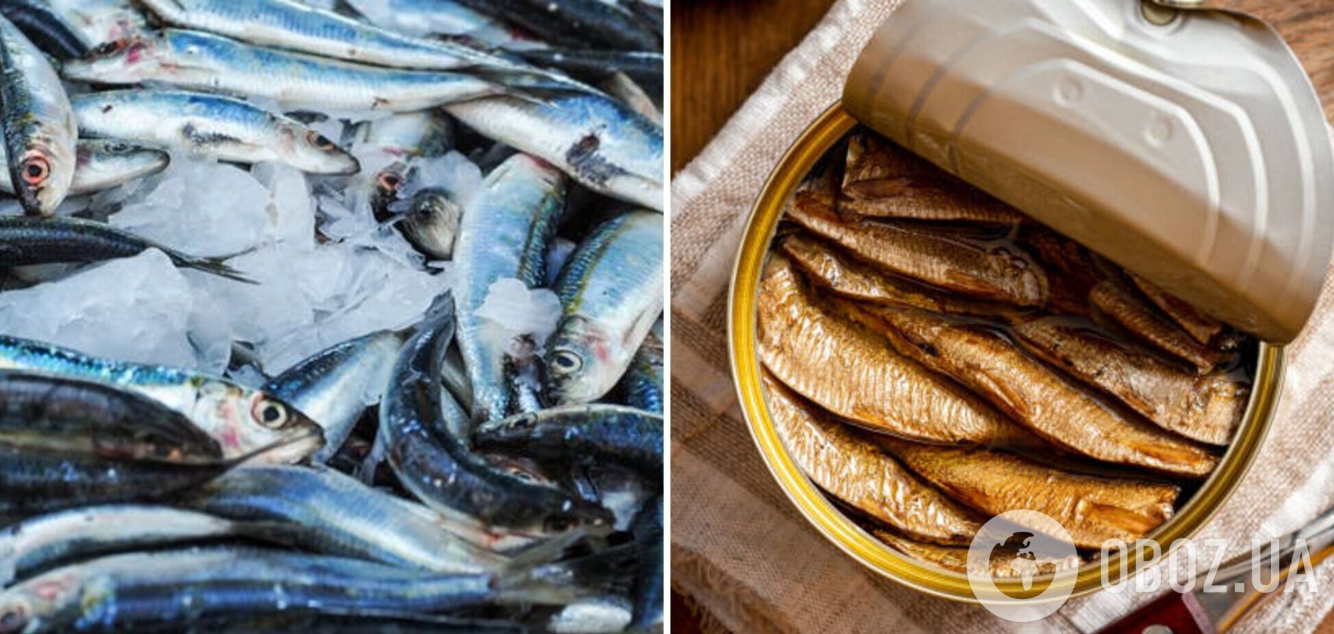 Как из рыбы салаки приготовить шпроты: оригинальная идея