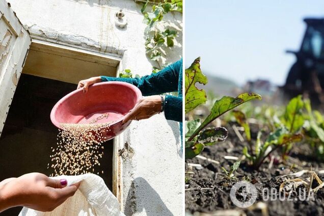 Эксперты сообщают о нехватке удобрений в мире