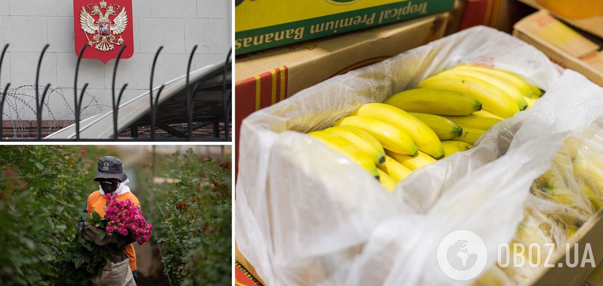Банани з Еквадору через санкції не змогли поставити до РФ