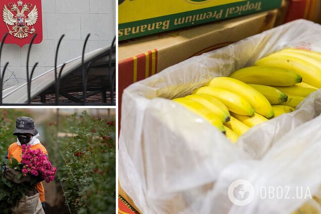 Бананы из Эквадора из-за санкций не смогли поставить в РФ