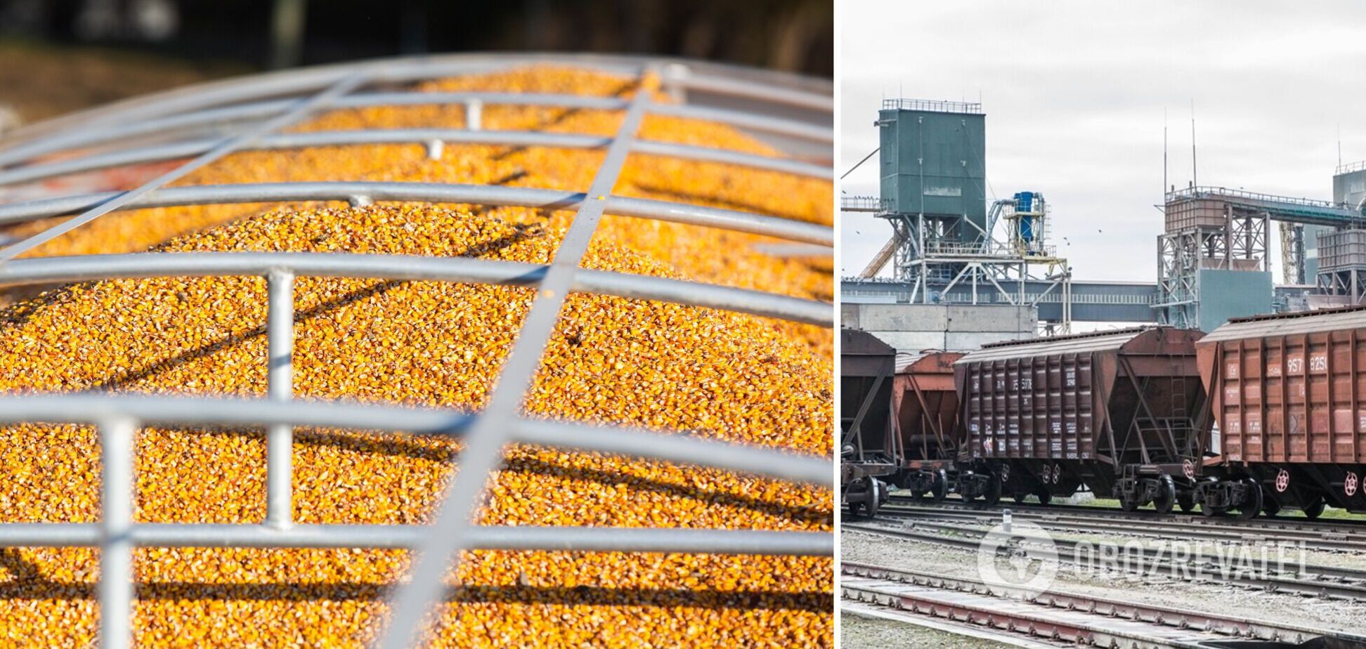 Украина пытается экспортировать зерно