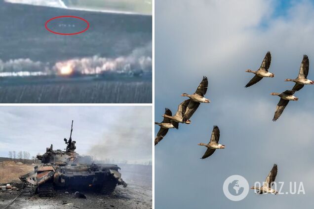 'Боевых гусей' в Украине 'поймали' на камеру: оккупантам спастись не удалось. Видео