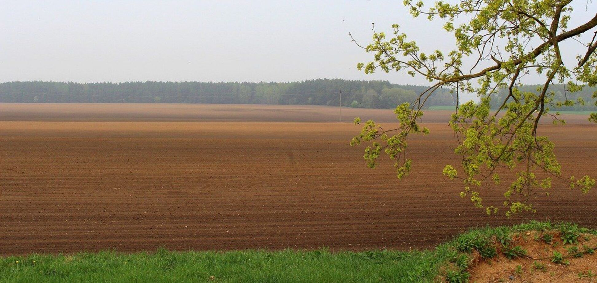 В Полтавской области во время посевной засеют 1,4 млн га полей