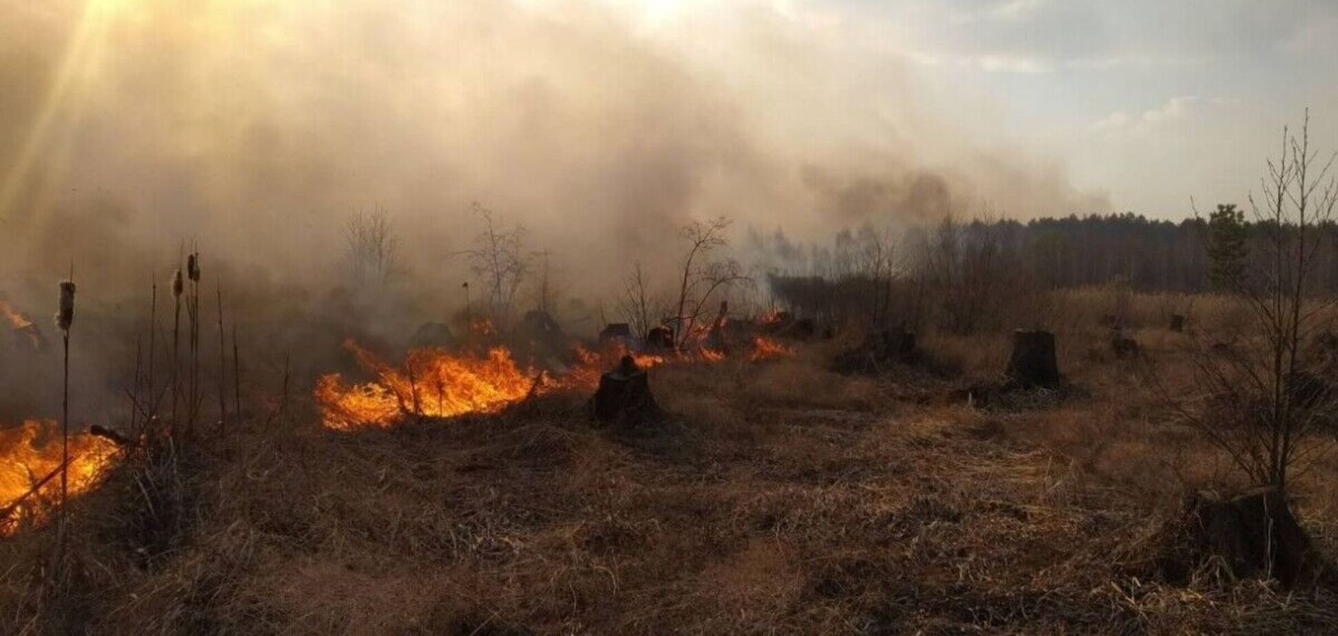За сжигание сухостоя травы предусмотрен штраф