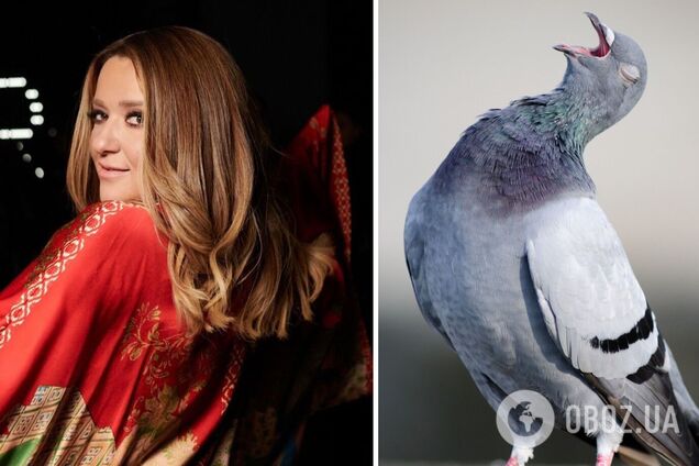 Могилевская потроллила россиян, показав 'боевых голубей из биолаборатории Хмельницкого'