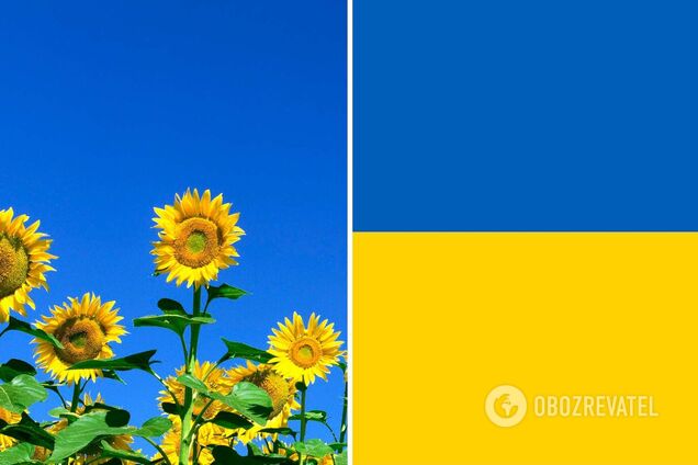 Цвета украинского флага означают свободу и энергию