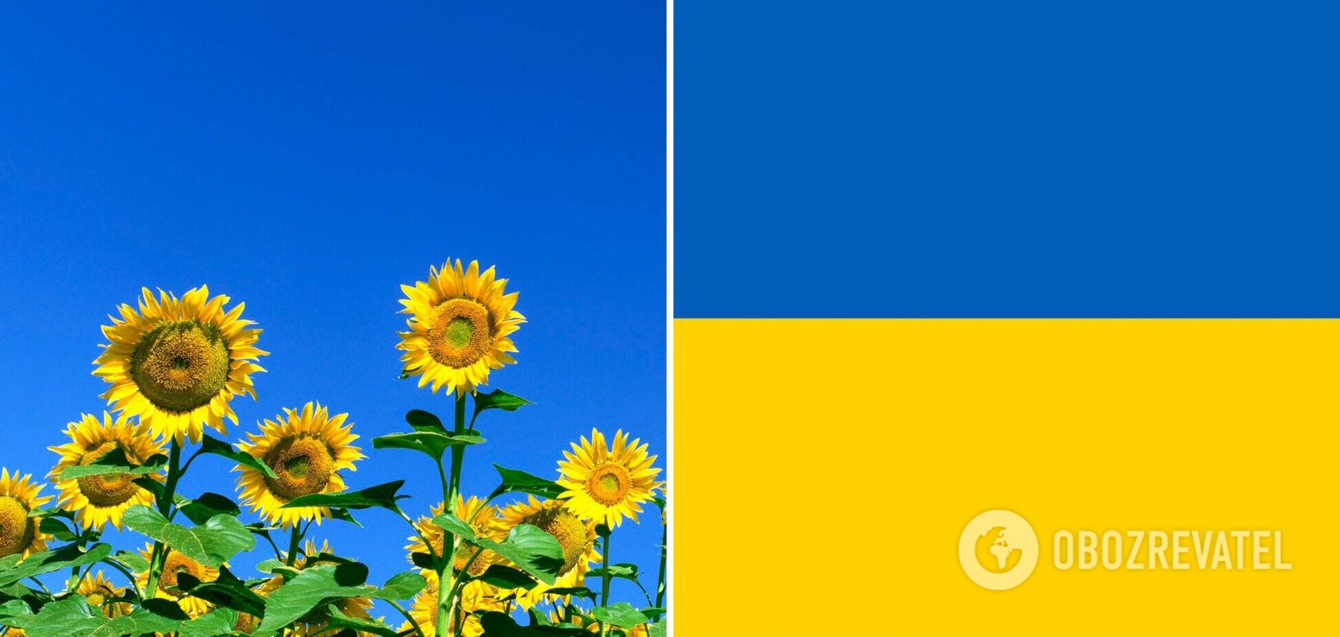 Цвета украинского флага означают свободу и энергию
