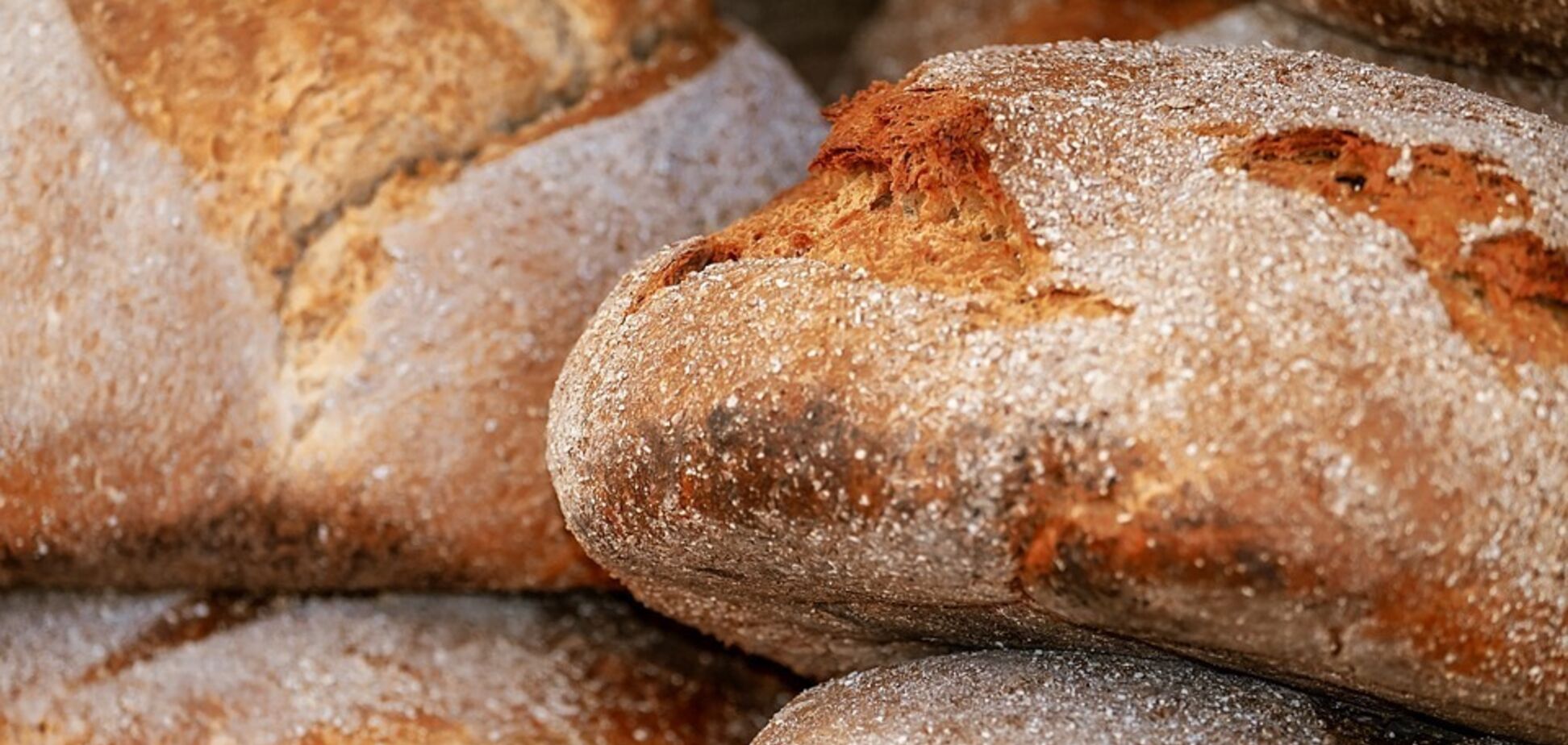 Хліб в Україні є