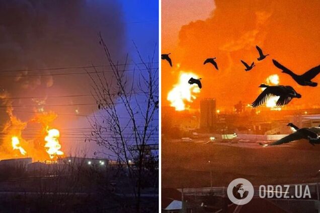 Пожар в Белгороде высмеяли мемом с украинскими птицами, но у россиян истерика