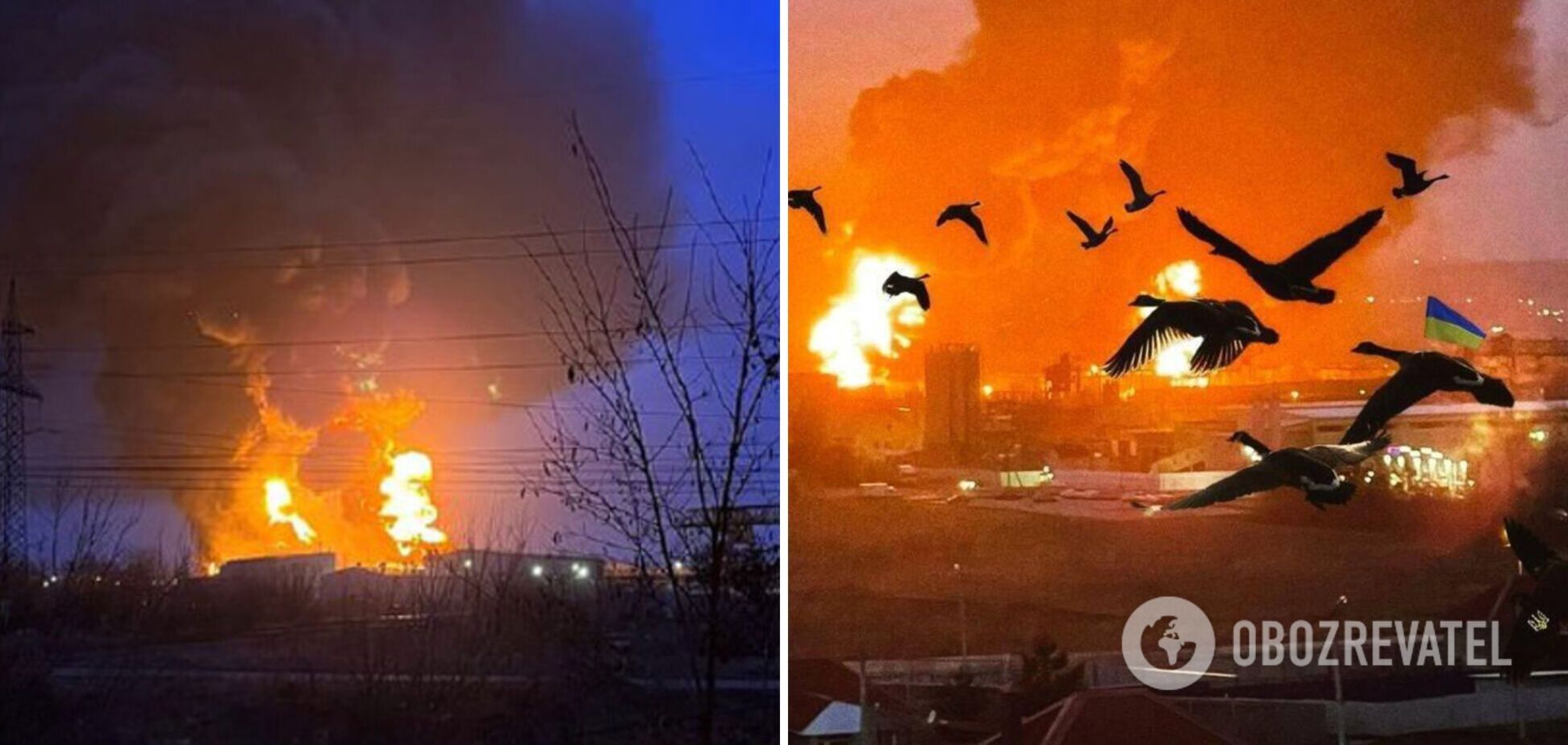 Пожар в Белгороде высмеяли мемом с украинскими птицами, но у россиян истерика