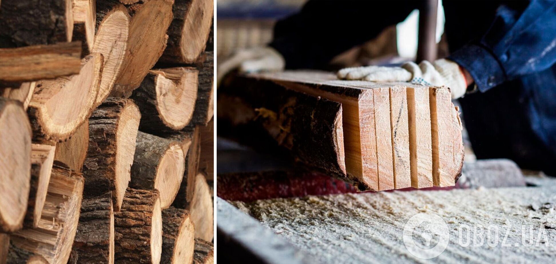 Меблева галузь в Україні потребує підтримки