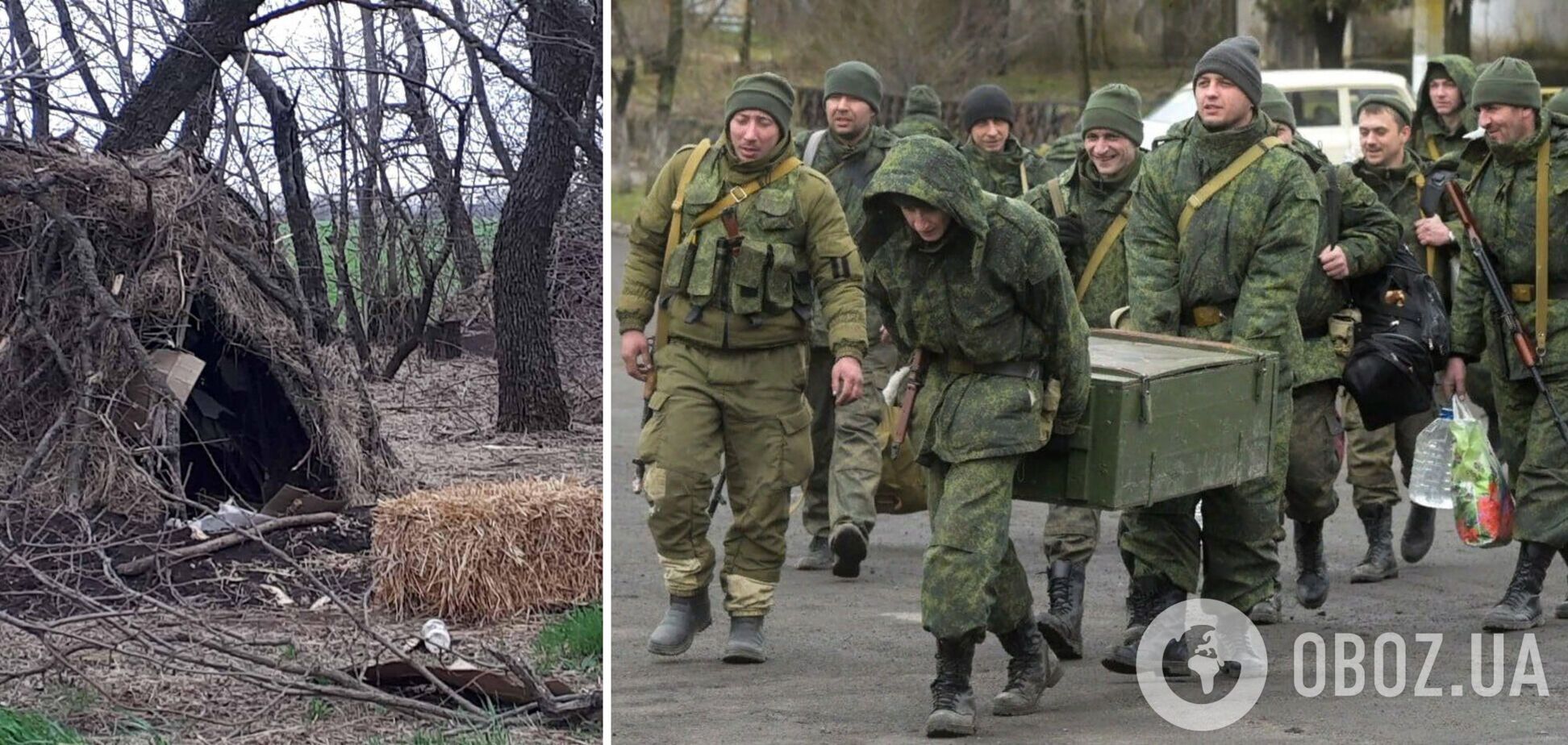 Оккупанты жили в дупле