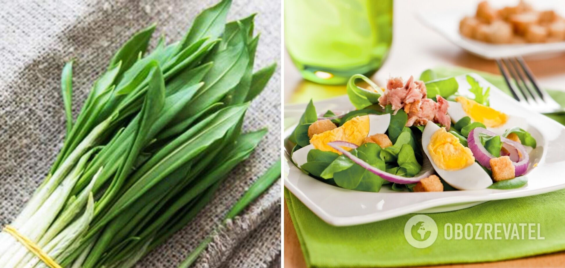 С чем приготовить черемшу: рецепты сезонных витаминных салатов