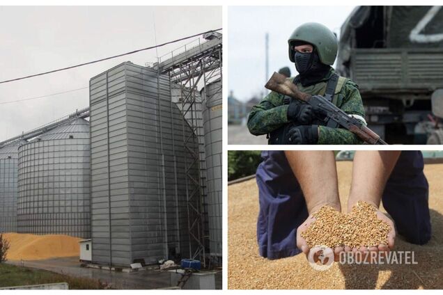 Россия вывозит зерно из оккупированной Запорожской области и продает за границей