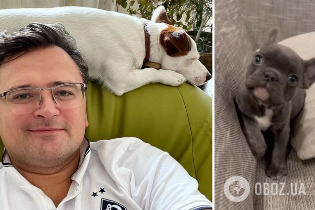 Кулеба забрал себе щенка, которого удалось вывезти из Мариуполя