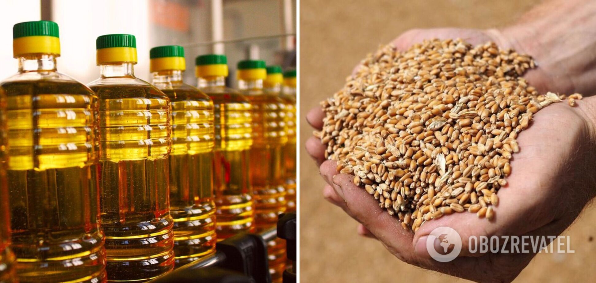 У Украины огромные запасы продовольствия, масла хватит на 10 лет