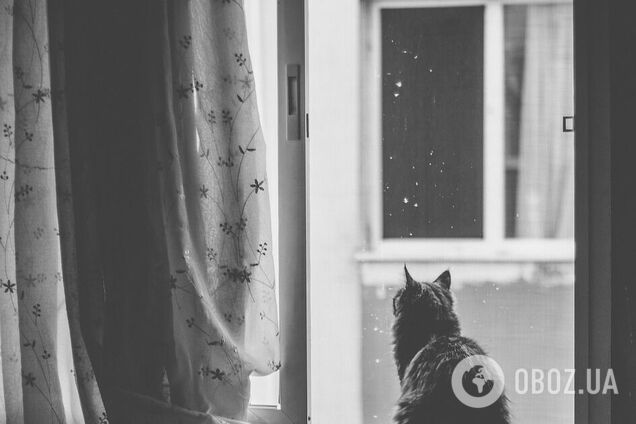 Как быстро убрать следы и чем отмыть окна от скотча. 6 эффективных способов