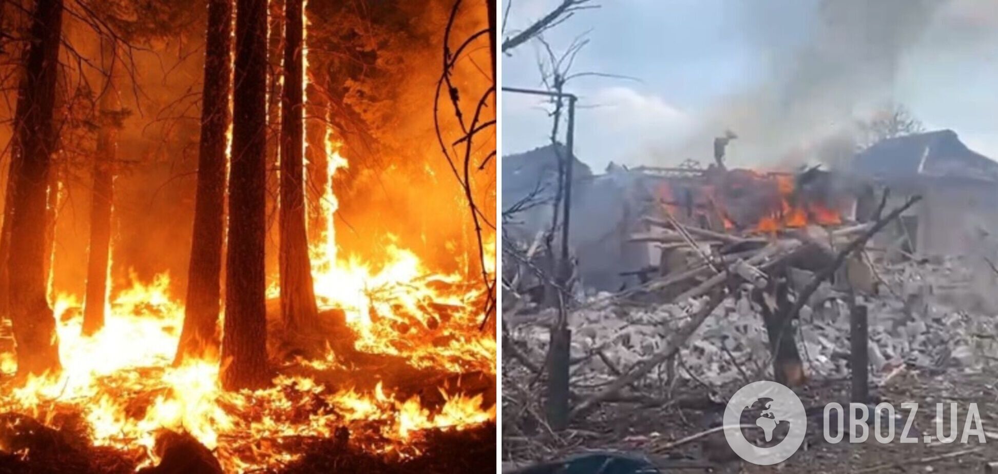 На Киевщине от российских обстрелов страдают дикие животные: люди спасли оленя с сильными ожогами. Фото