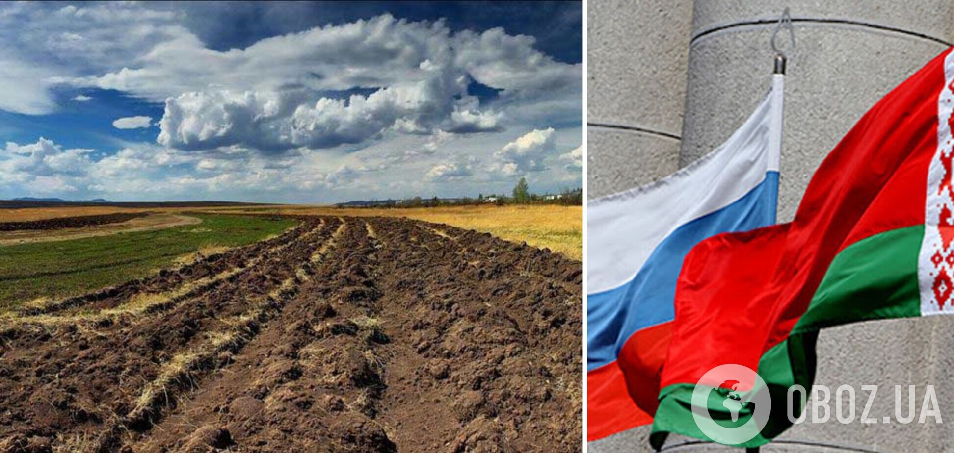 Больше 186 тыс. га украинской земли приносят пользу РФ и Беларуси