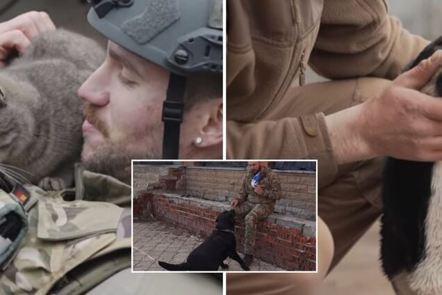 Лабрадор Красавчик воює в ЗСУ разом із хазяїном: розповідь з фронту