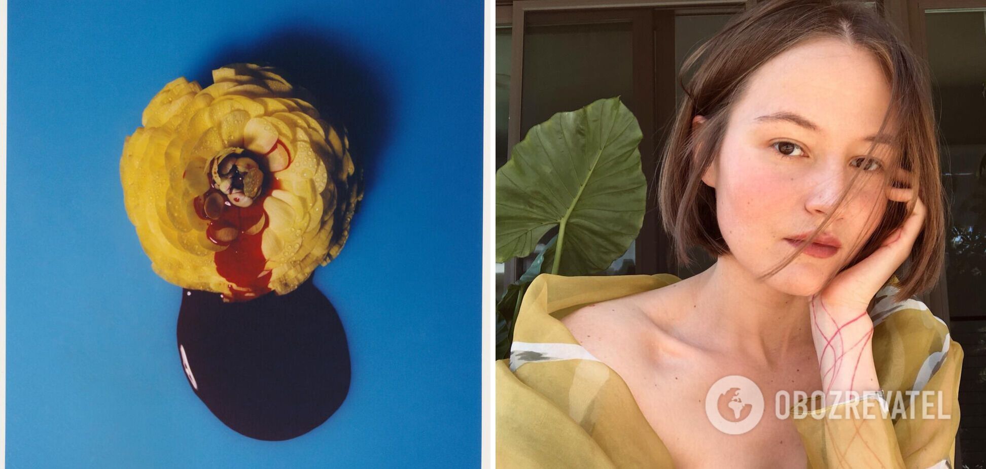 Закривавлені квіти і відірвані пелюстки: українська фотографиня Кардаш'ян показала біль війни в Україні