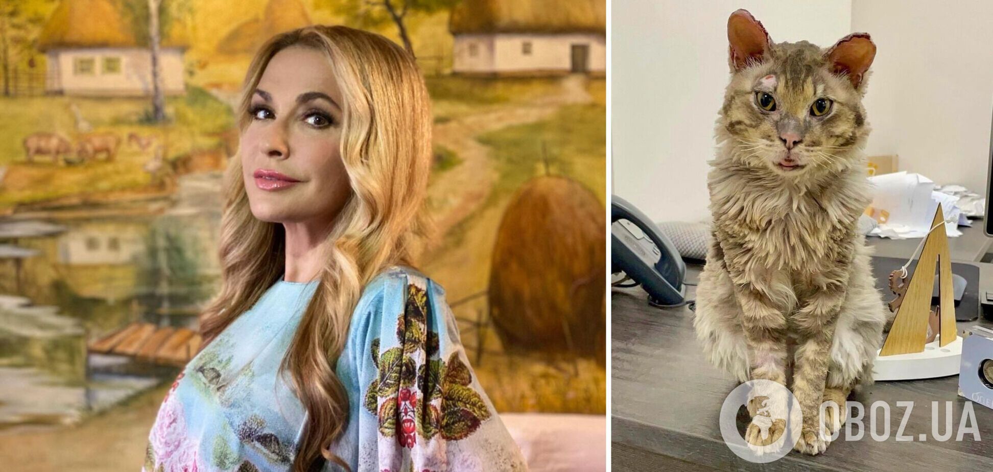 Сумська розповіла про долю обгорілого кота з Бучі, за якого хвилювався весь світ