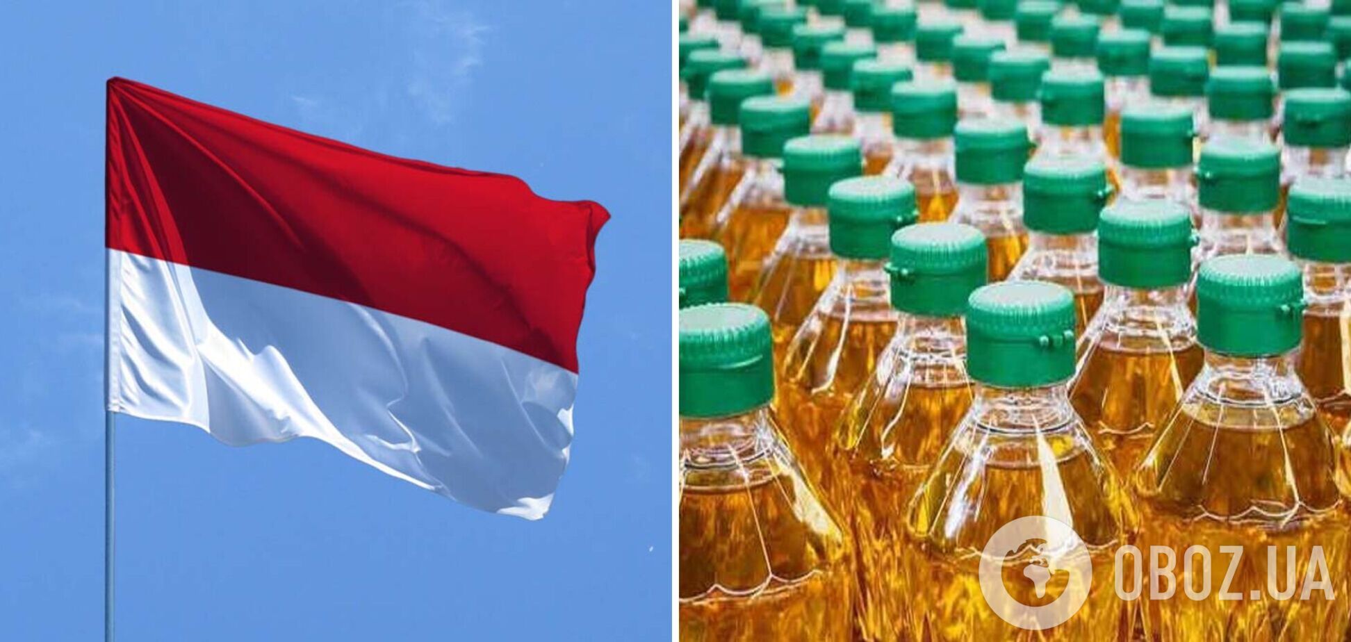 Індонезія заборонила експорт пальмової олії