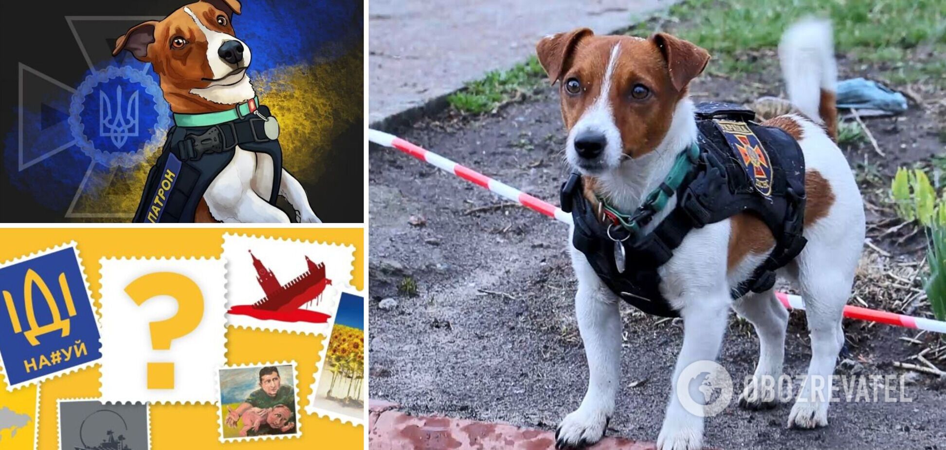Пес-сапер Патрон може з'явитися на нових марках 'Укрпошти'. Фото