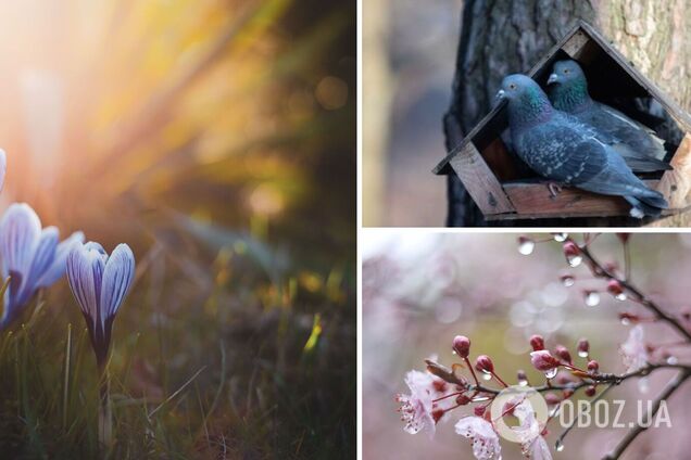 В Украину ворвется волна похолодания: синоптик рассказал, какой погоды ждать в мае