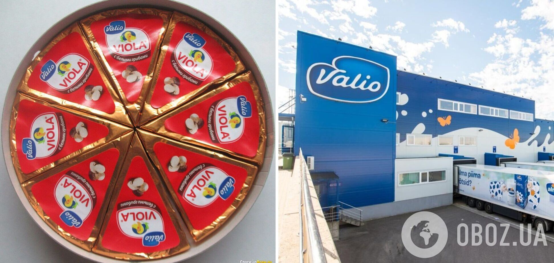 Сыр 'Виола' останется в России, но производитель будет другим