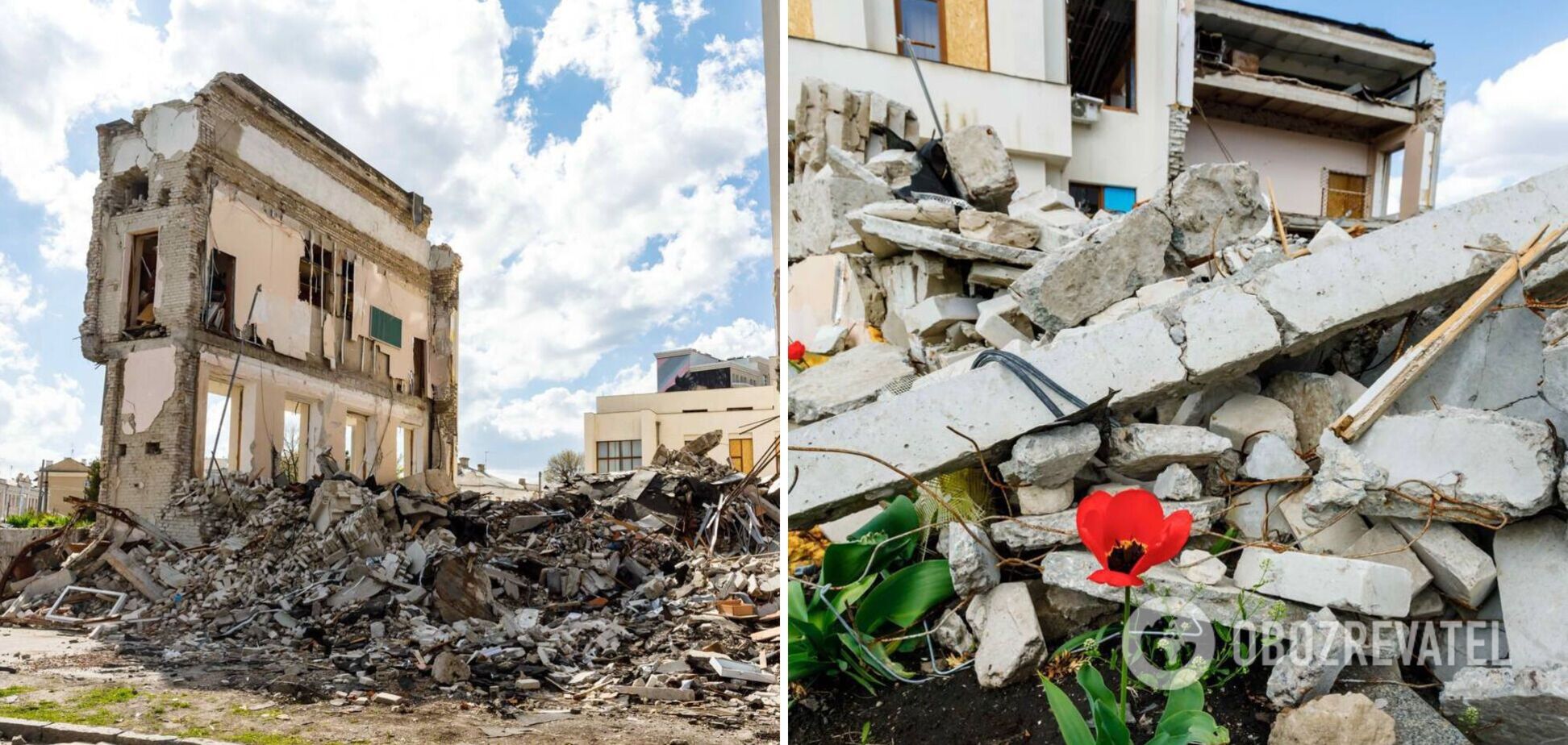 Оккупанты разрушили вузы на Харьковщине, на руинах растут цветы. Фото