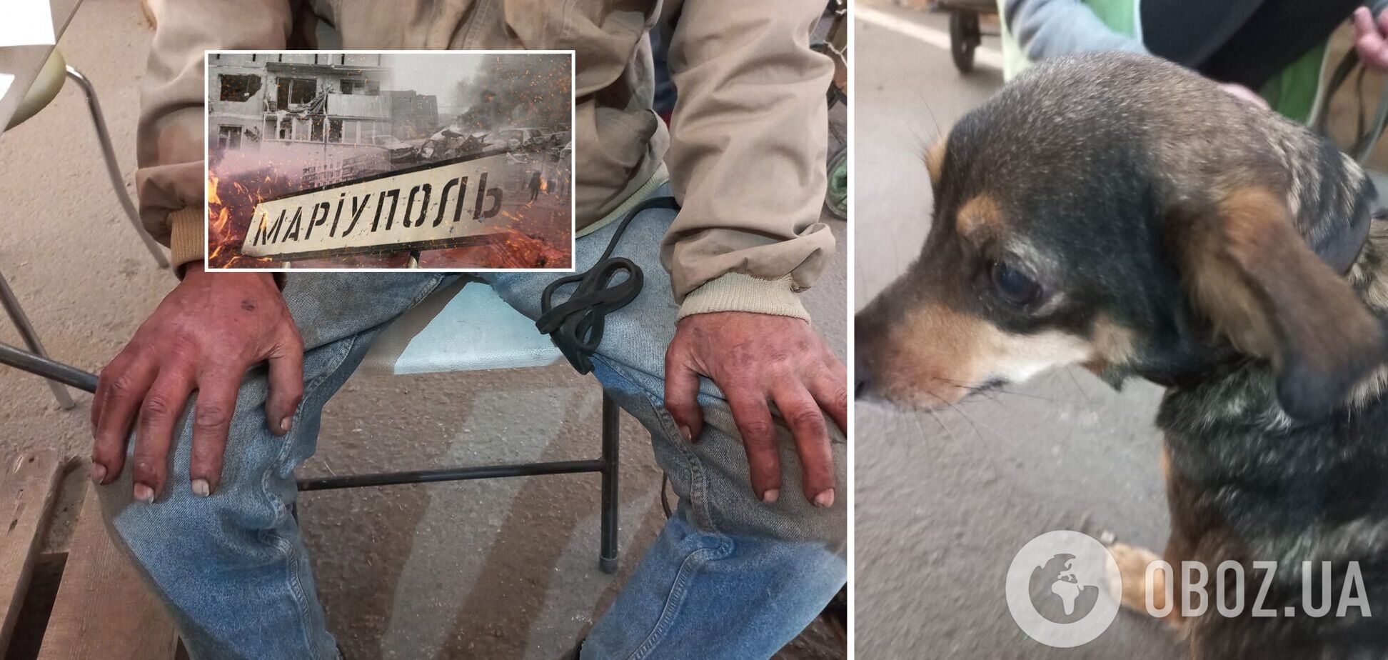 Житель Мариуполя пять дней шел пешком с собакой в Запорожье. Фото