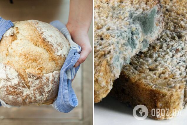 Как избежать плесени на хлебе 