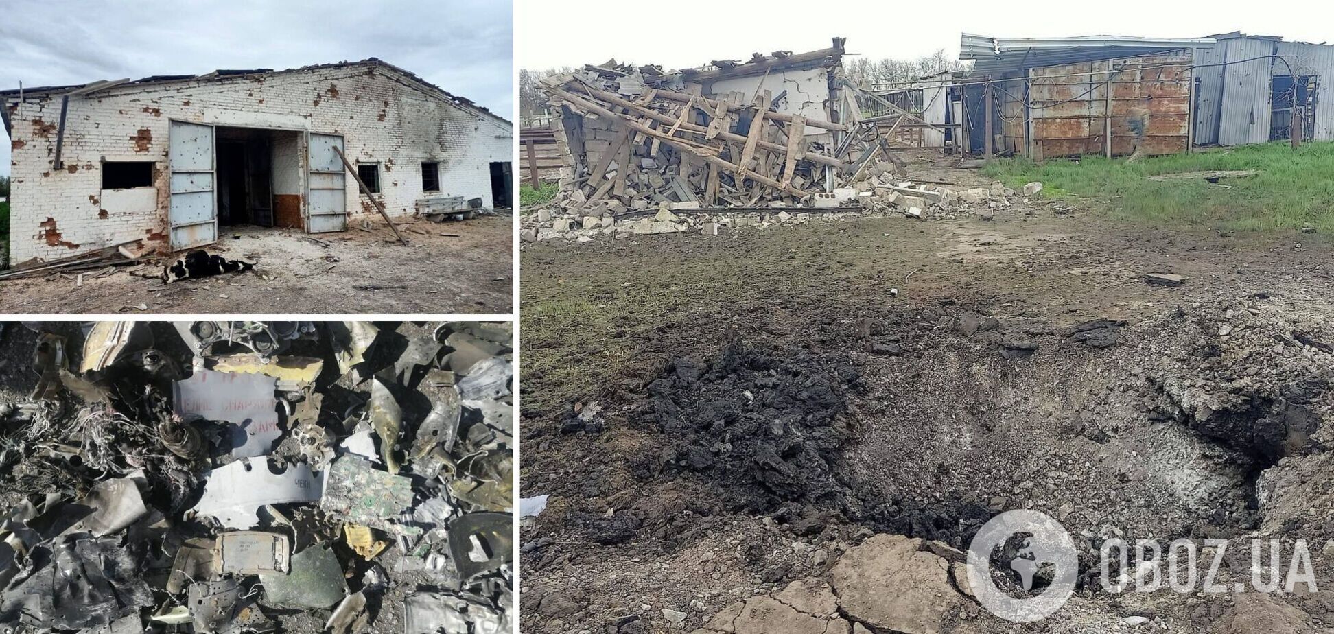 На Запоріжжі ворожий авіаснаряд потрапив на територію ферми: загинули тварини. Фото