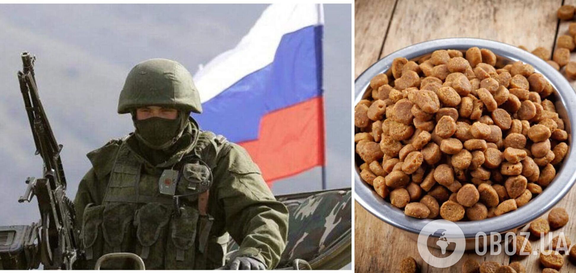Російські окупанти розграбували склади супермаркету та їли котячий корм. Відео