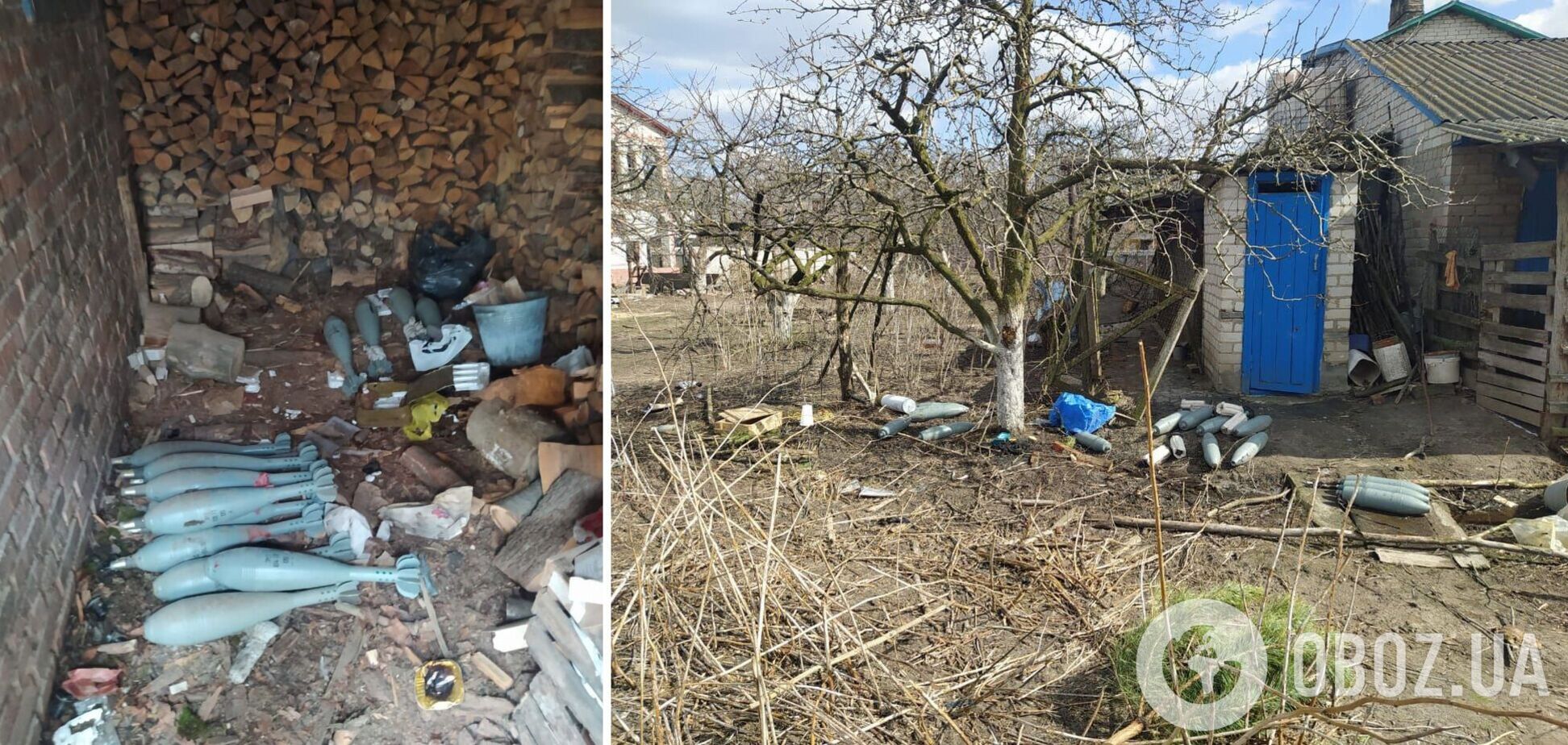 'Снаряды в каждом погребе и уголке': оккупанты на Черниговщине убивали даже животных. Фото
