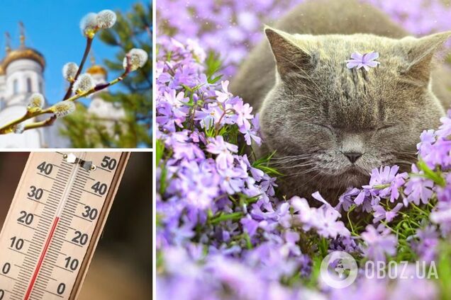 В Украину ворвется потепление до +20: синоптик назвала дату и дала подробный прогноз