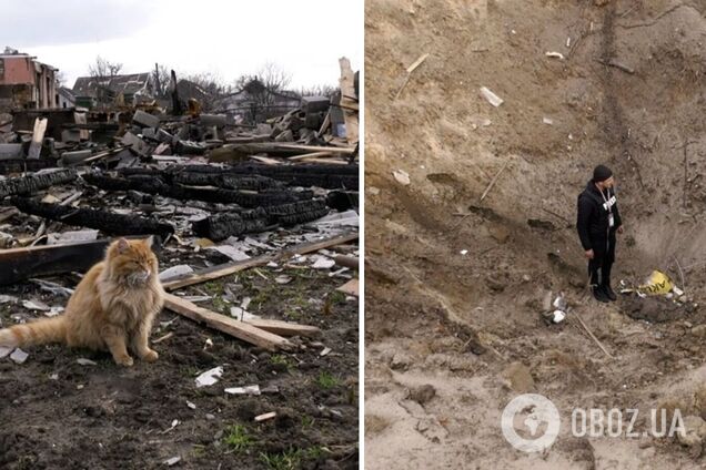 Воронки в человеческий рост и ни одного уцелевшего дома: появились фото из освобожденной ВСУ Новоселовки под Черниговом