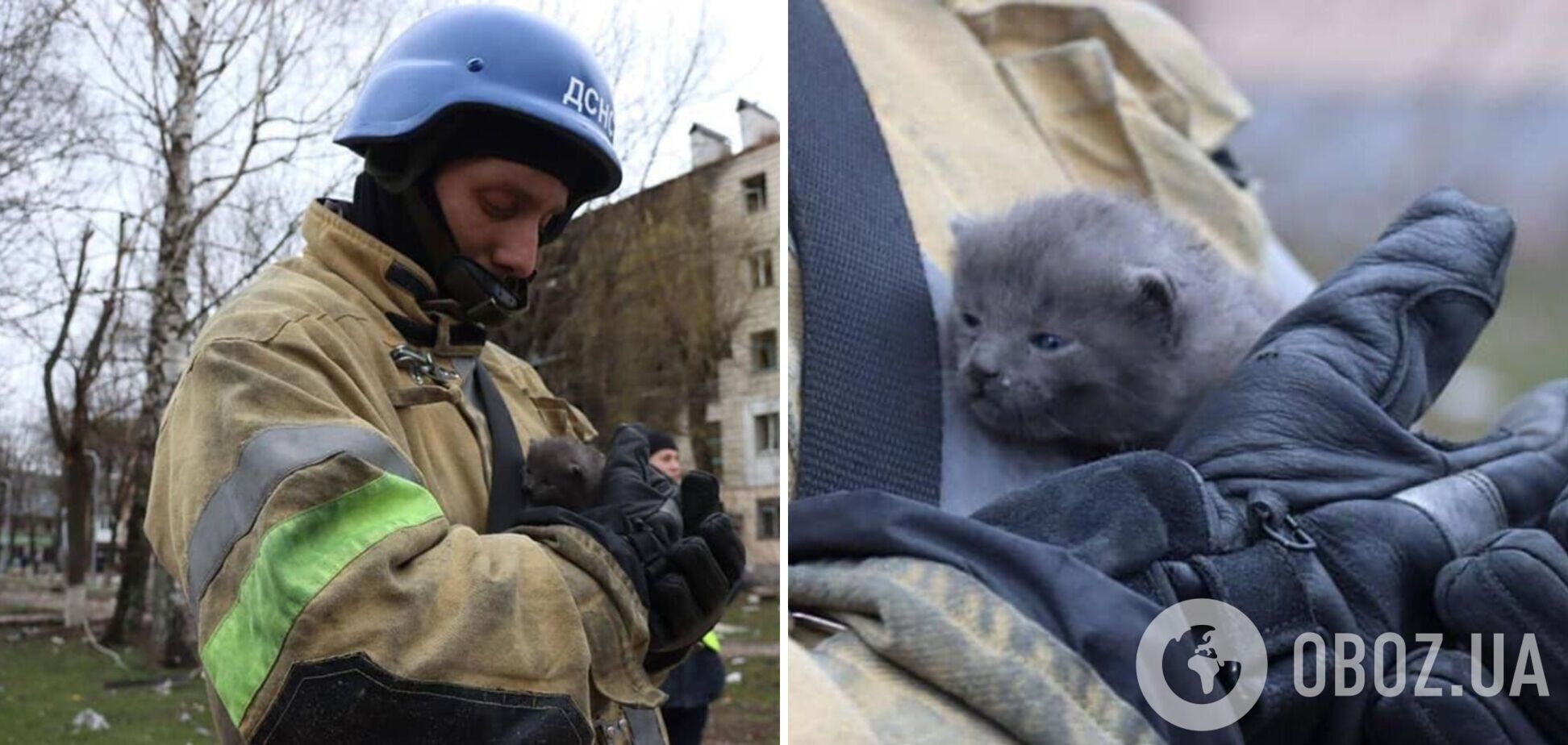 Спасатели нашли в разрушенном городе маленького котенка