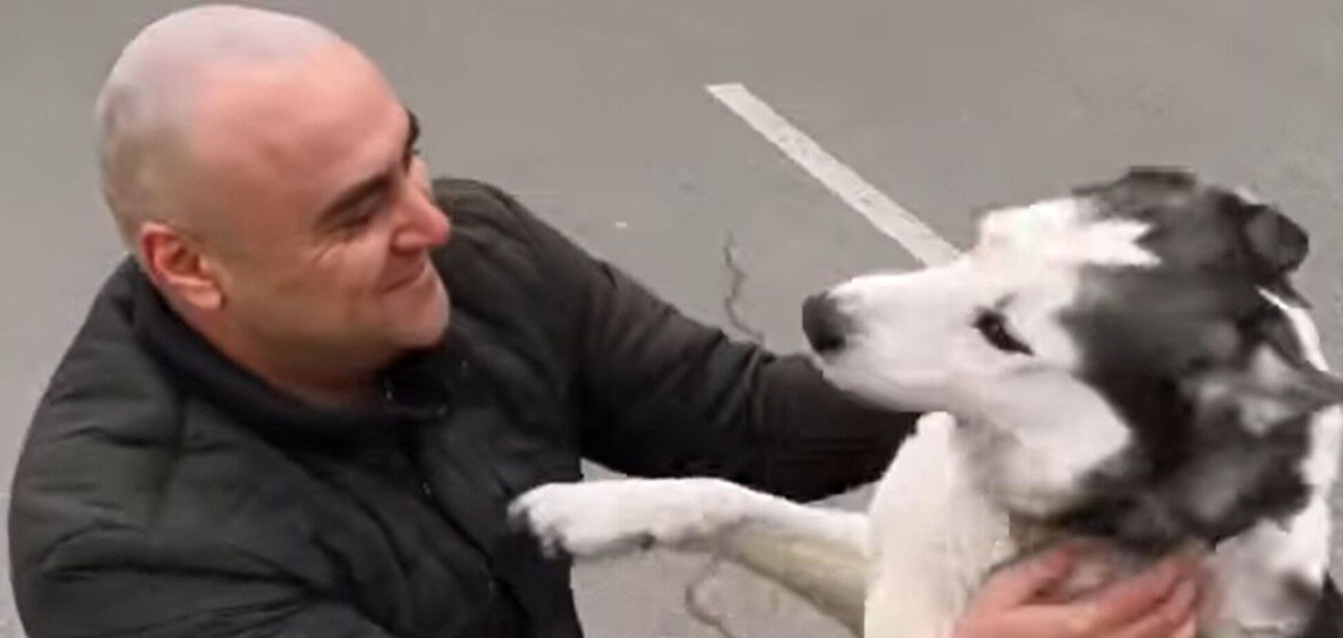 Маленька радість серед суцільного жаху в Бучі: загублений пес повернувся до господаря. Відео