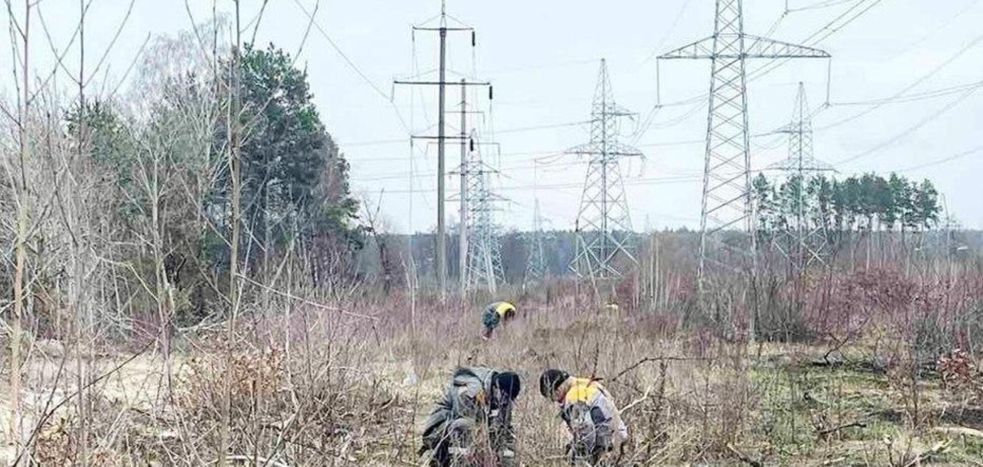 Енергетики повернули світло в звільнені від окупантів Гореничі, Макарів і Велику Димерку – ДТЕК