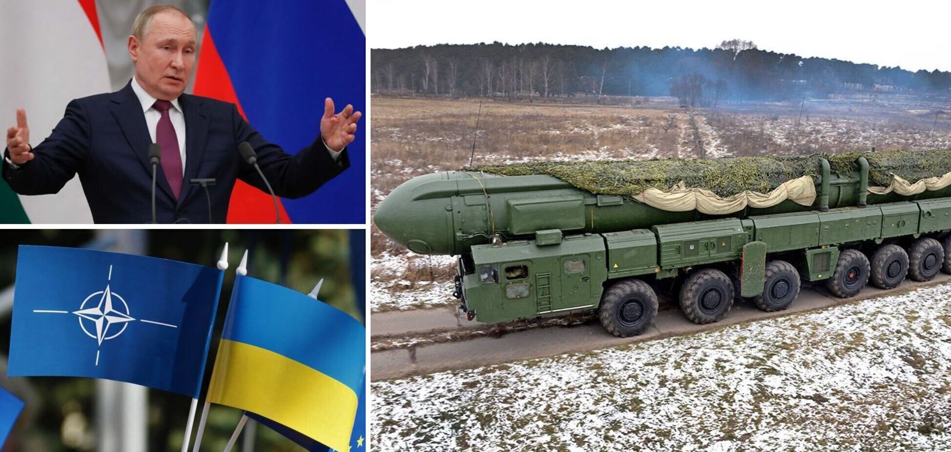 Росія боїться не НАТО, а дечого іншого – президент Німеччини